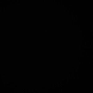 Meet your Posher, Holley